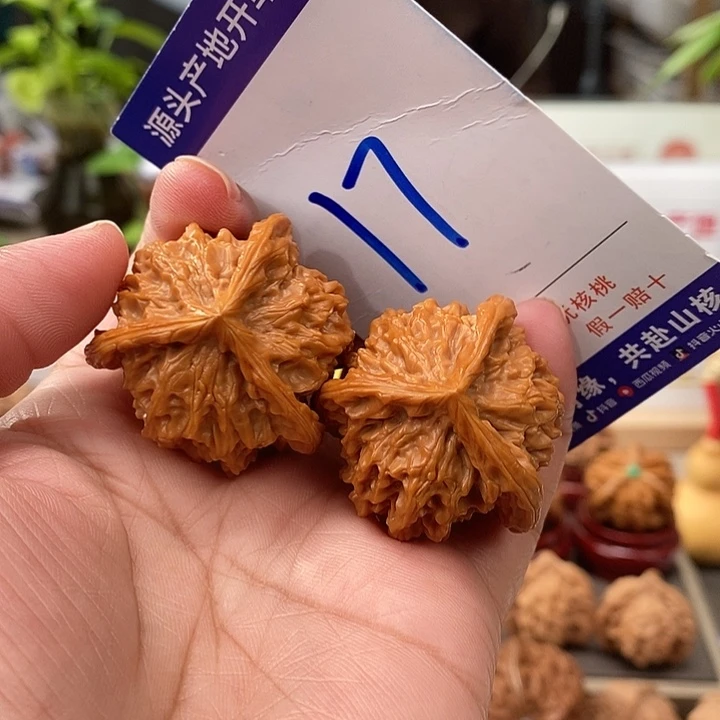 文玩核桃把件35天然盘山正奔17号