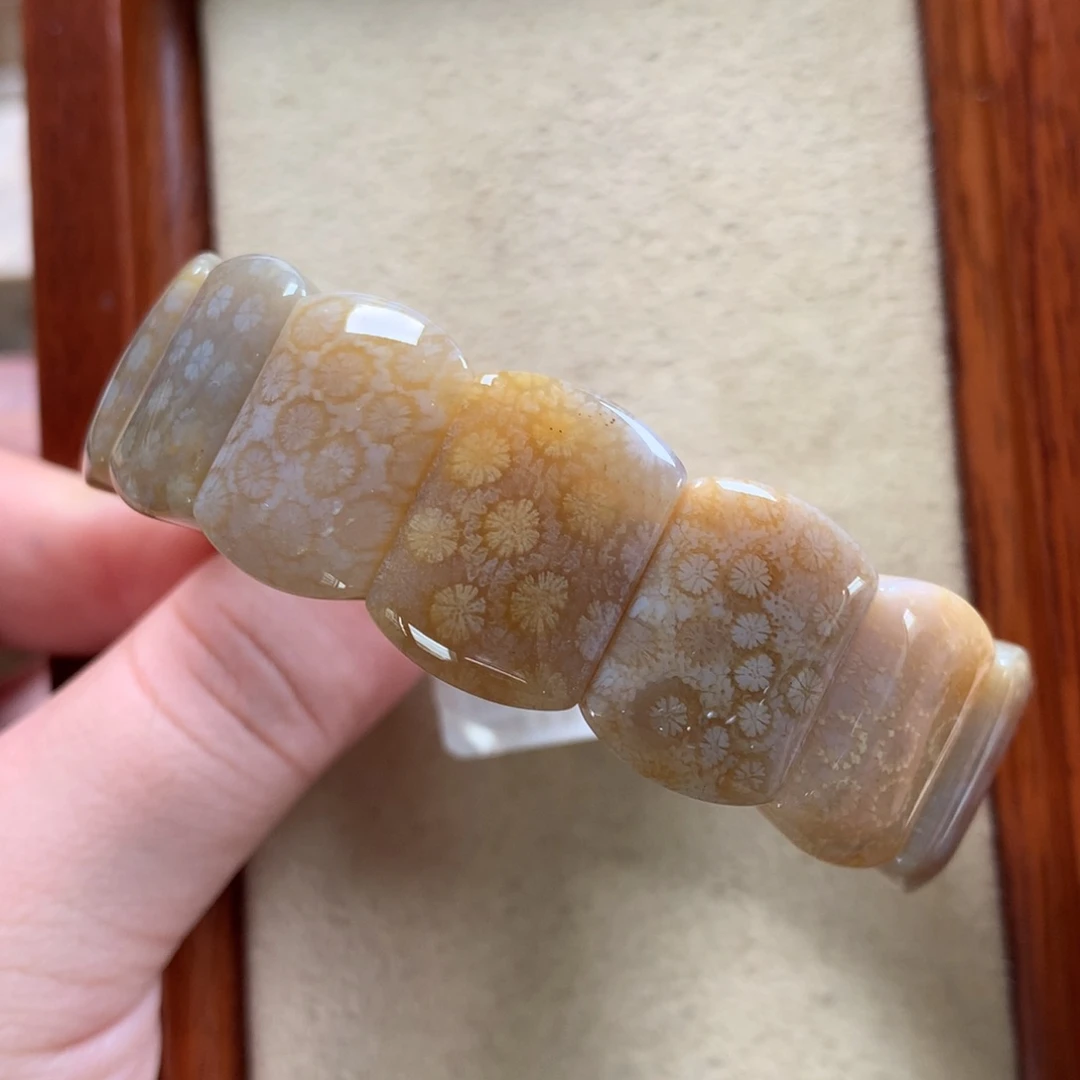 未镶嵌手排漏100/个。14硅化珊瑚（珊瑚玉）