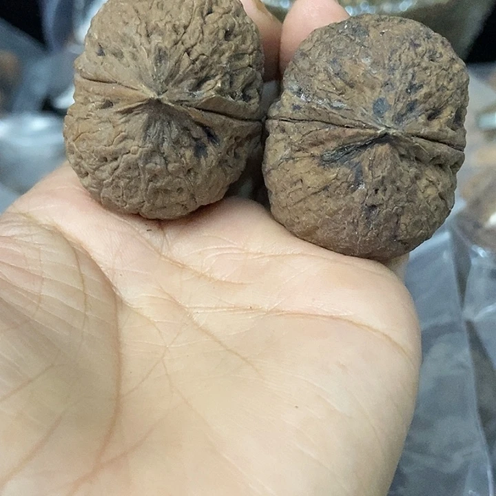 文玩核桃把件云南铁核桃基地67