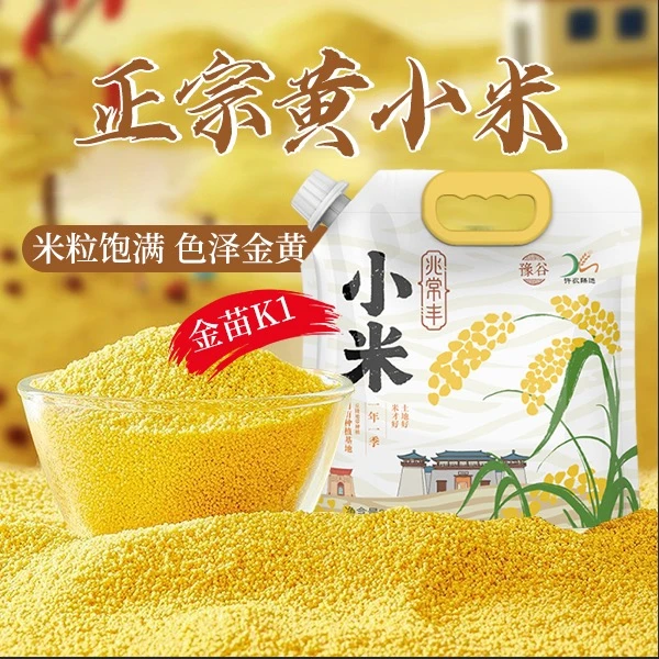 【许农臻选】兆常丰黄小米5斤装当季头茬新米早餐熬粥煮饭营养健康