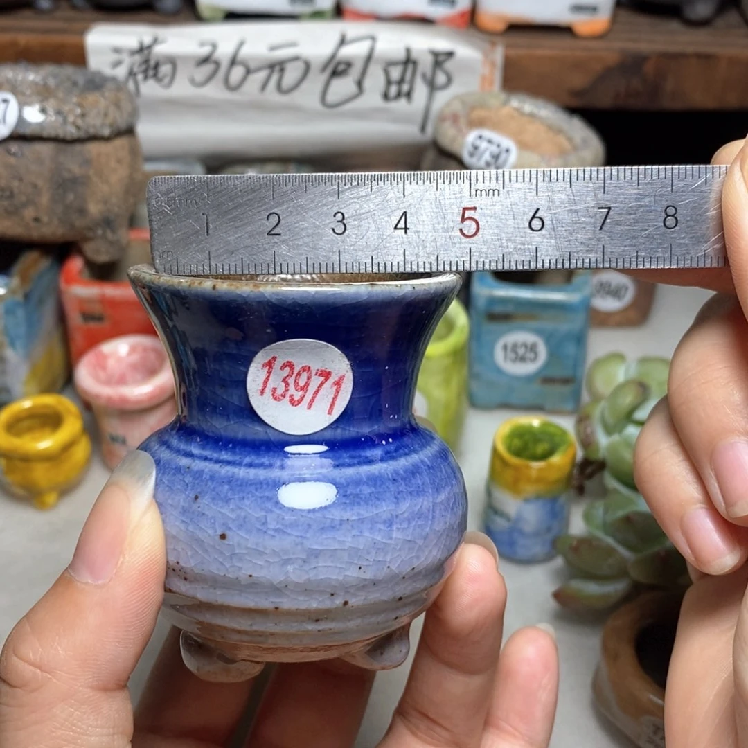 拍5送一个小礼物