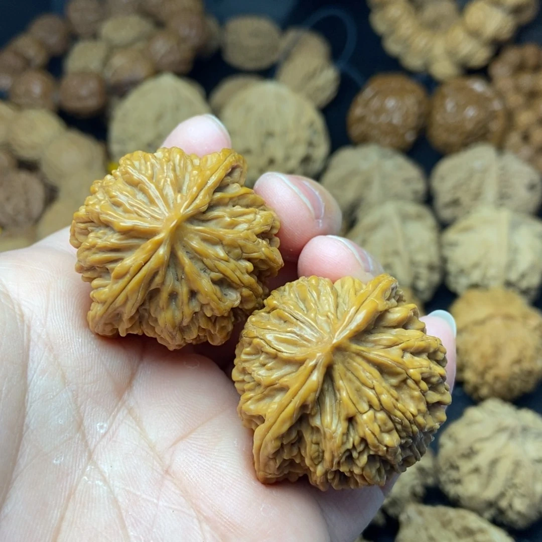文玩核桃把件秦岭核桃流星雨39