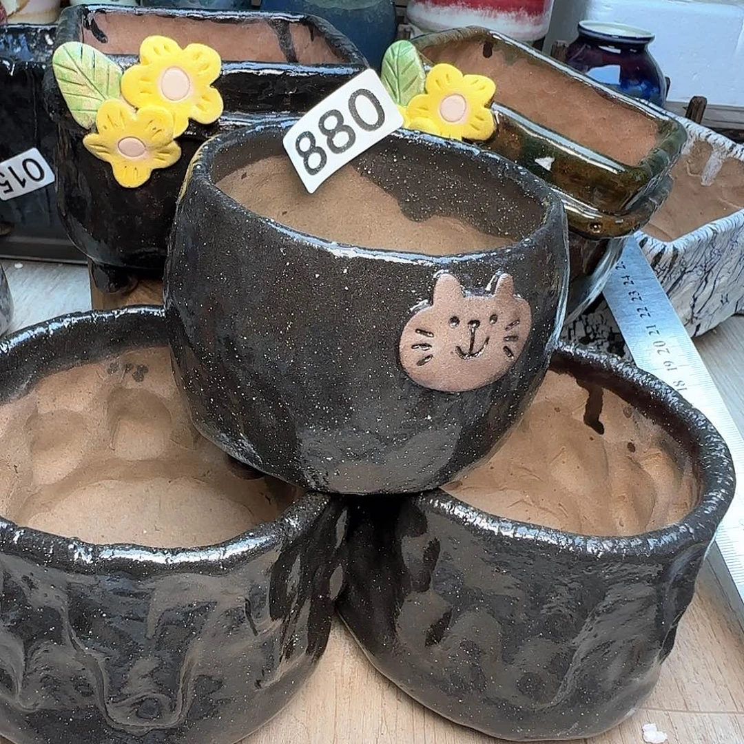 刘***涛手工制作手工制作