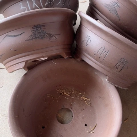 100-5。       31-12.5