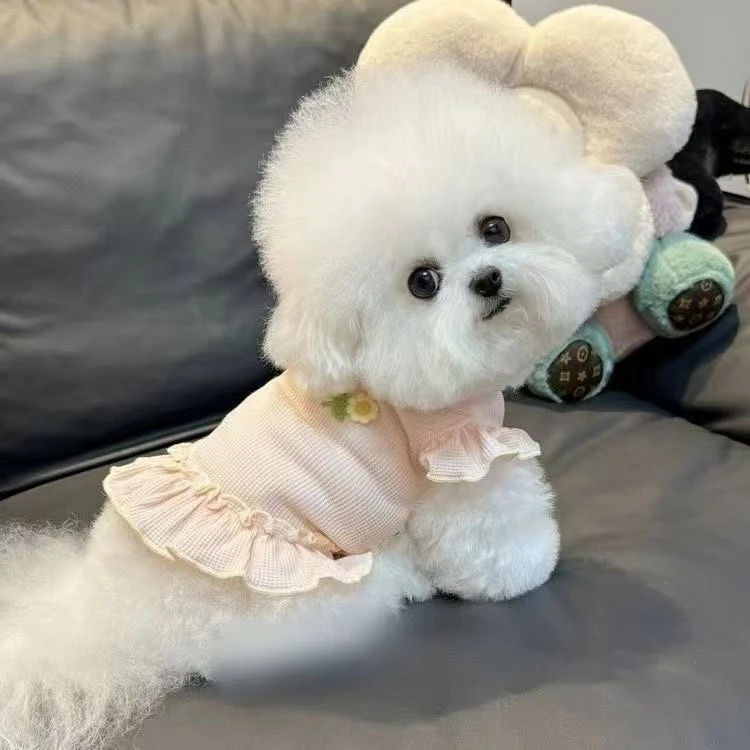 狗狗衣服春夏秋季新款华夫格小花朵飞袖裙子宠物猫咪比熊泰迪可爱