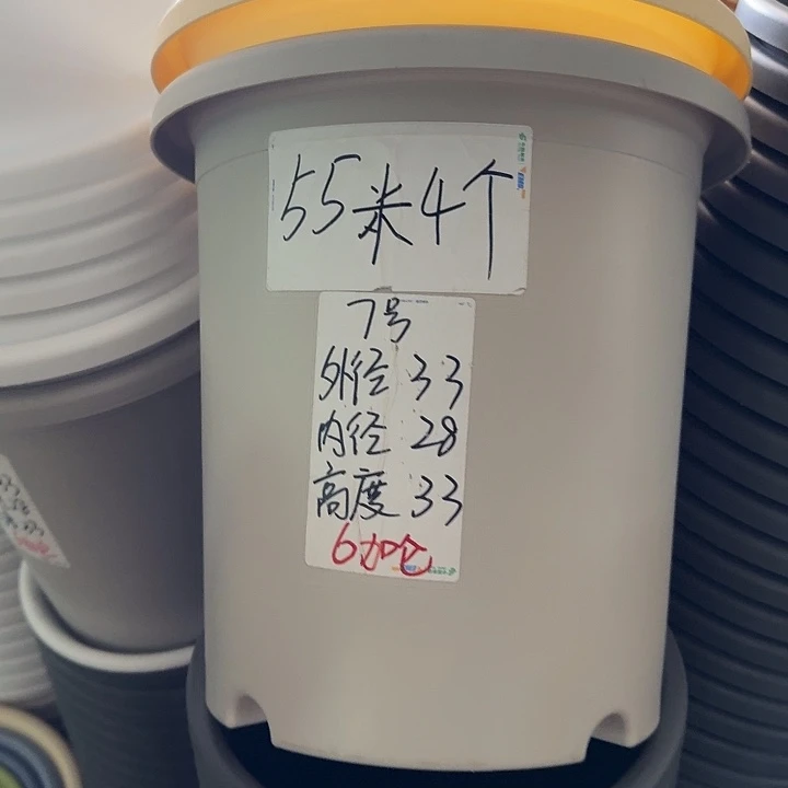 微瑕7#灰白6个无托