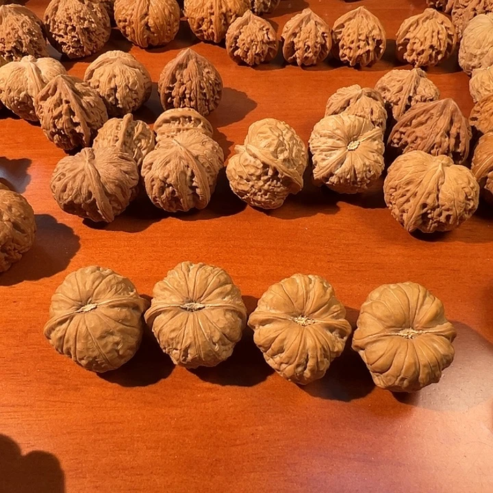 Y***X把件桃核南瓜墩头茬新果无修对两对