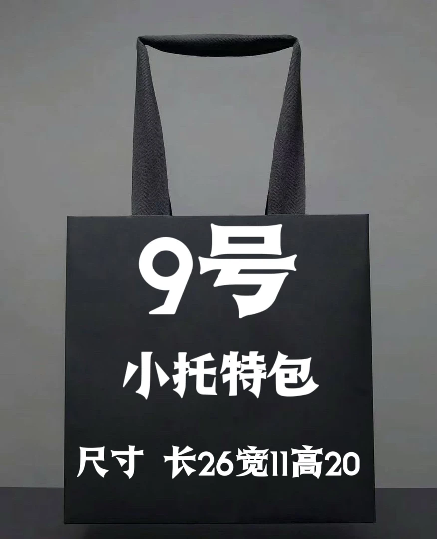 【9号】春季2025新款时尚百搭休闲小托特包K25