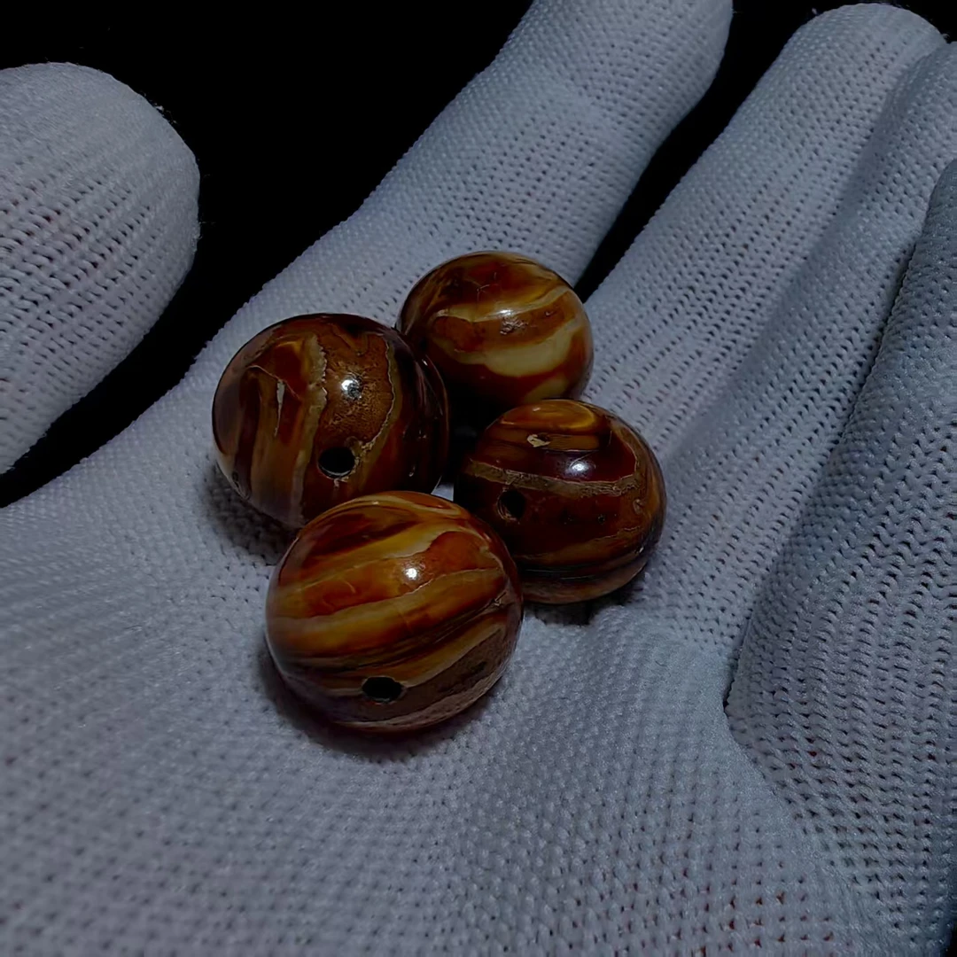 YL0179    黄金剑齿老三单珠约16mm