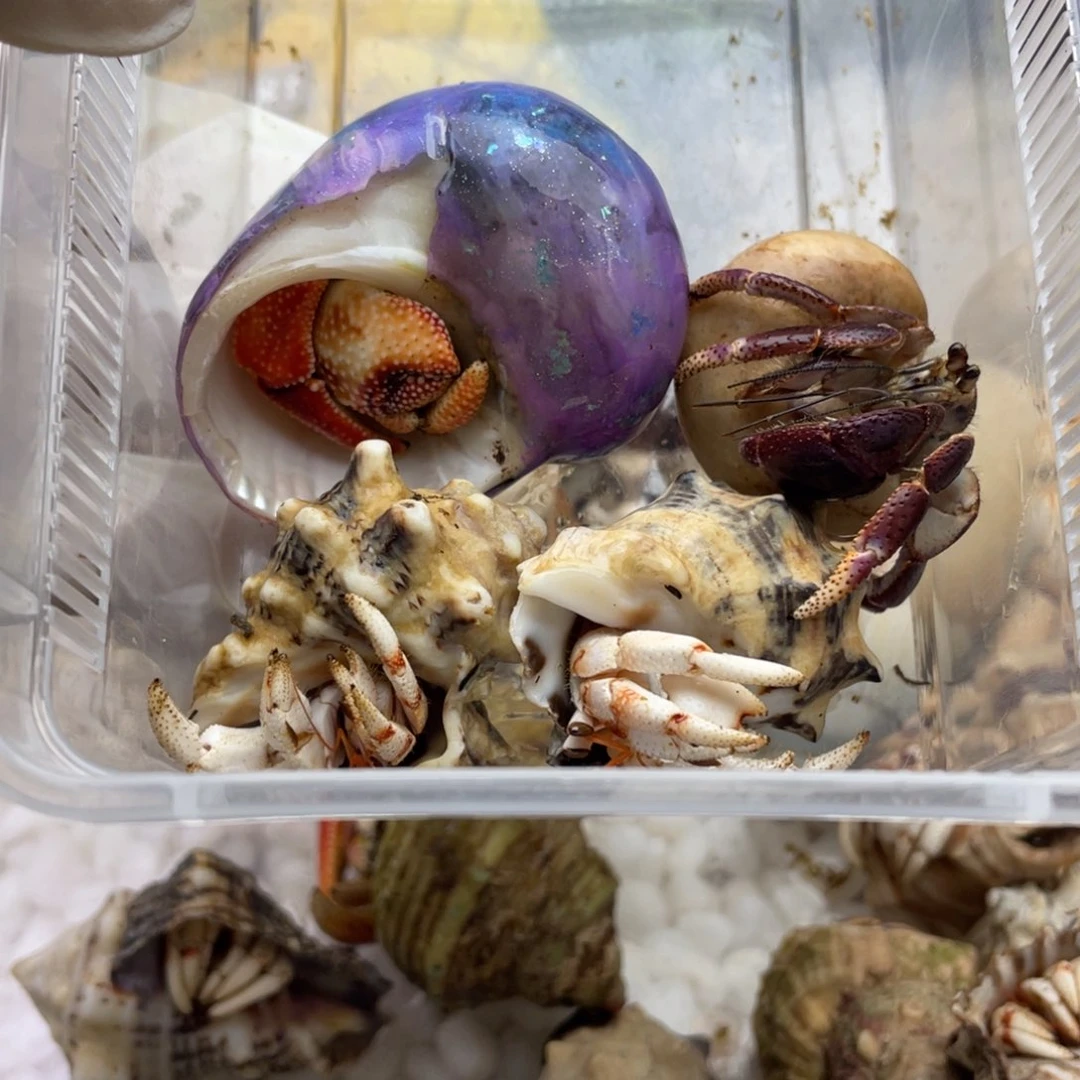 是****ik9好看好看好看