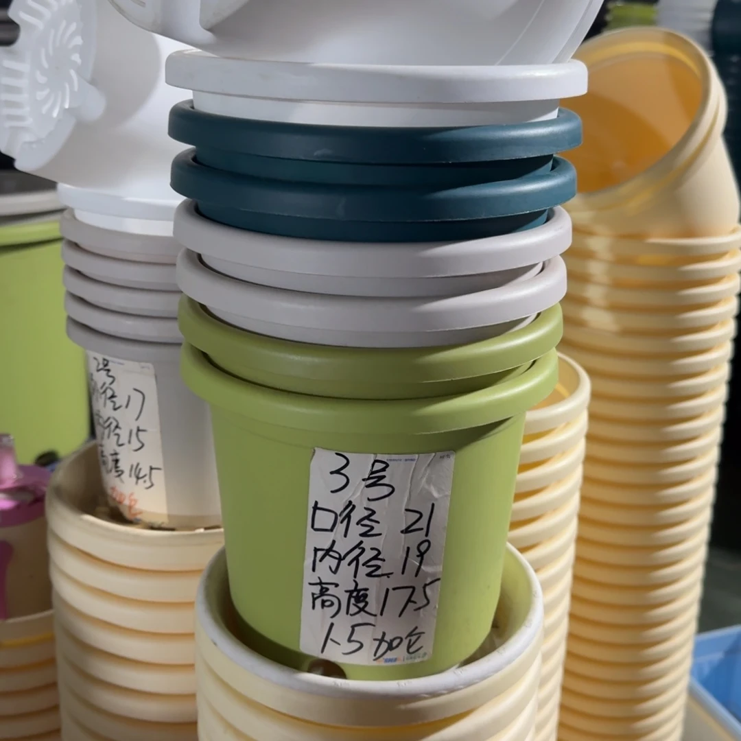 四季3#口径21无拖果绿10个