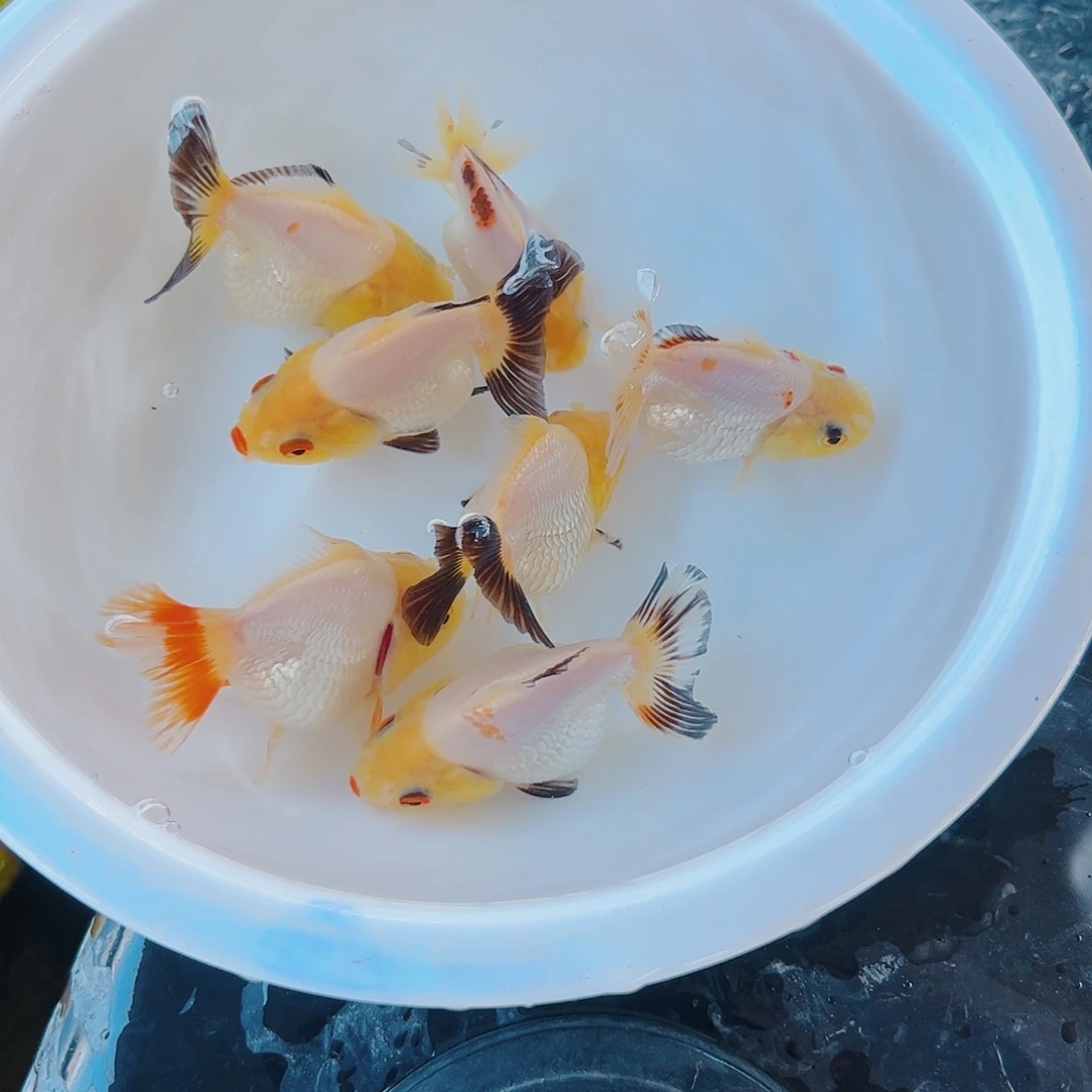 海水11111111111111