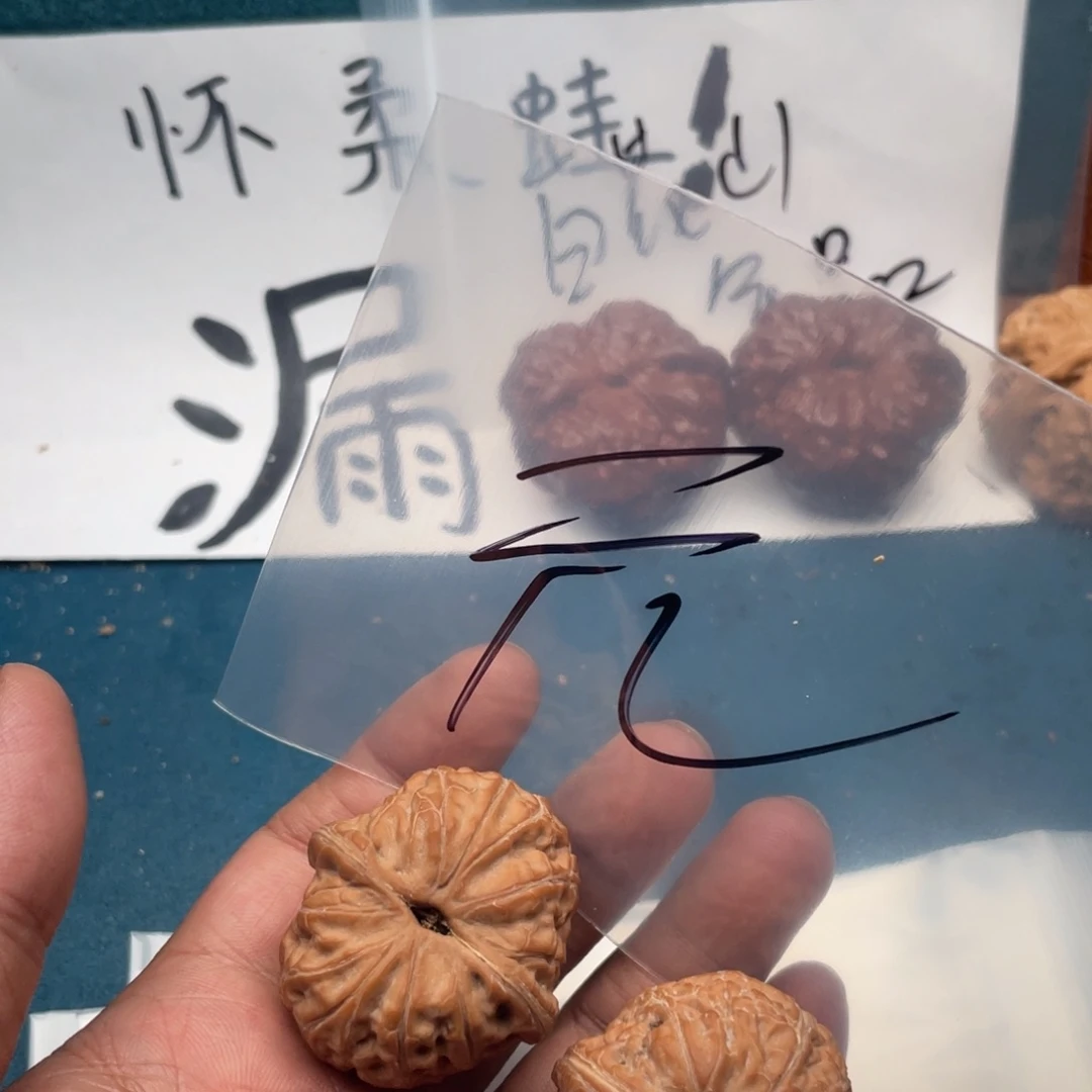 核桃75537753753753757537