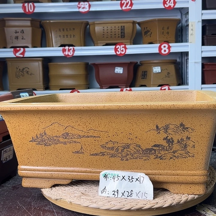 紫砂花盆蛇年大吉