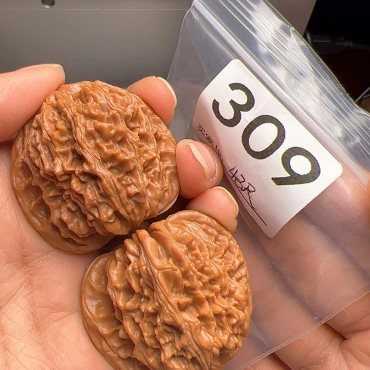 核桃43尺309号全品四座楼