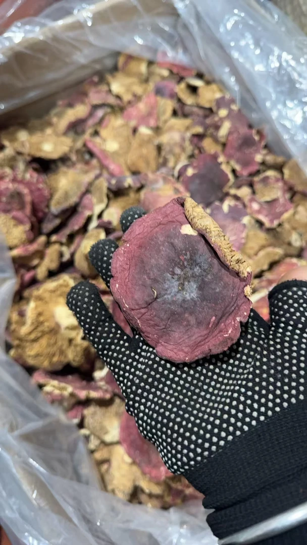 河南野生红菇菇帽部分断片干货煲汤佳品无添加