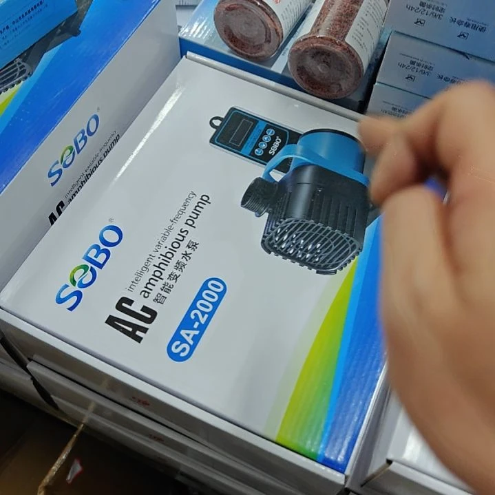 2000流量水陆两用