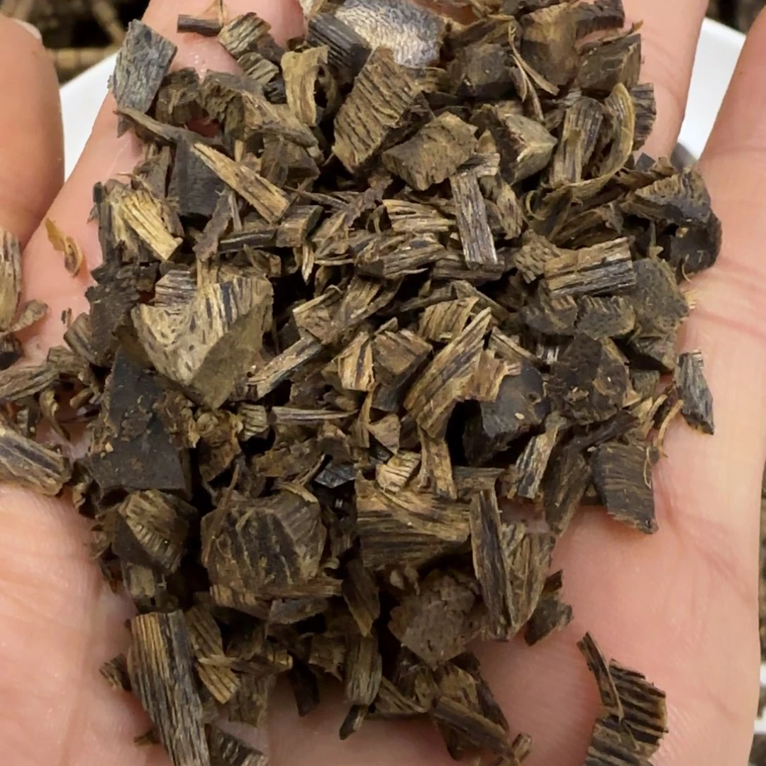 沉香木摆件海南棋楠沉香实小小块料30