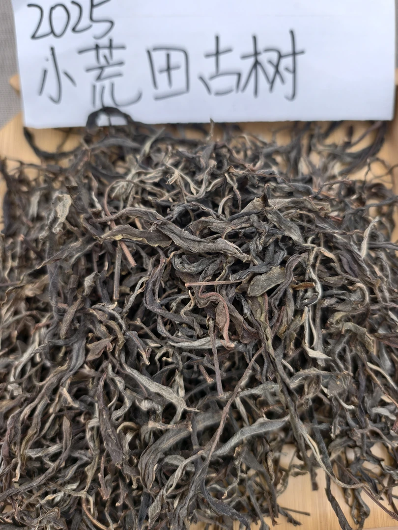 【新品上新】2025年头春【小荒田古树·甜茶代表】100g/罐，带同款