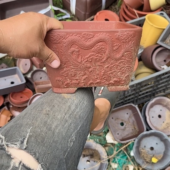 是因为它具有非常丰富且独特功能