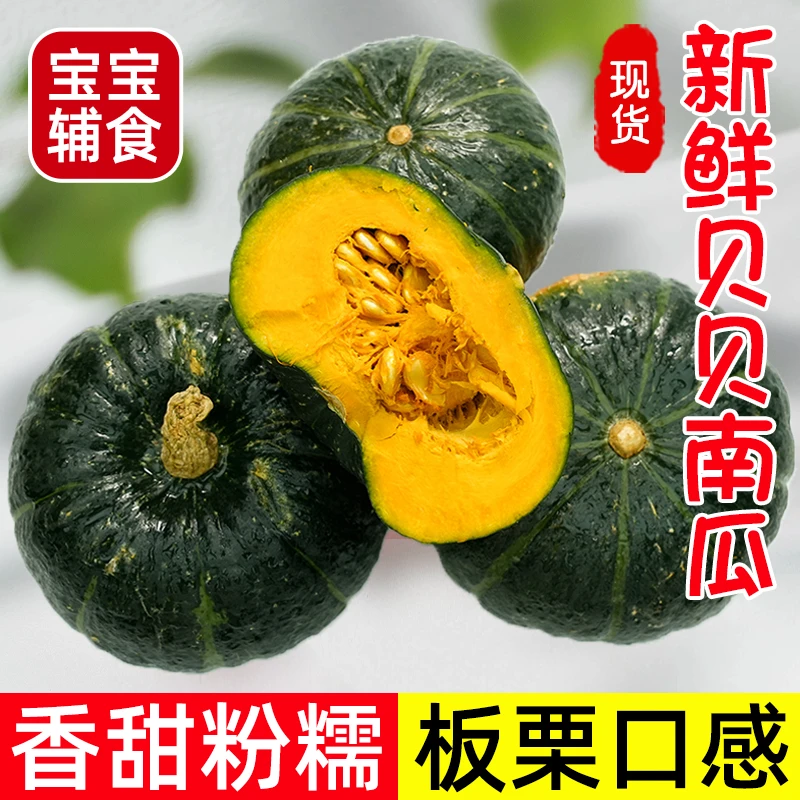粉糯香甜板栗味贝贝小南瓜适合孕妇减脂辅食