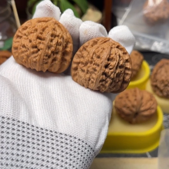 木质三角白白狮子3