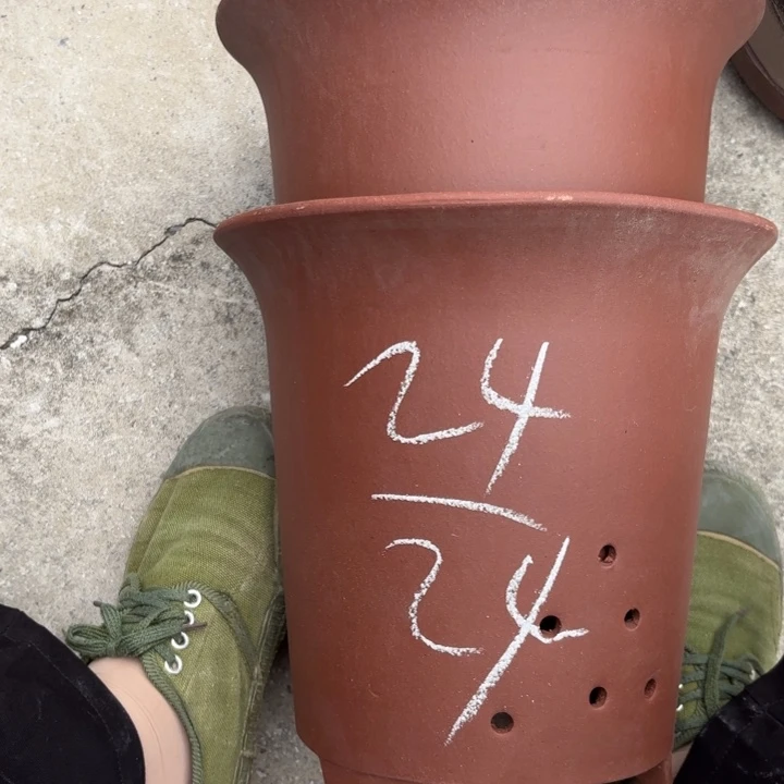 紫砂花盆紫砂的花