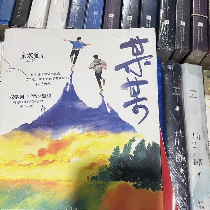 某某全新全套三本带周边未删减