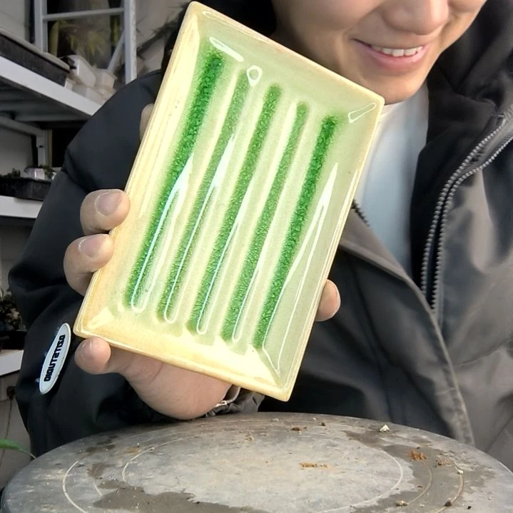 二*小盆景小植物一物一拍469