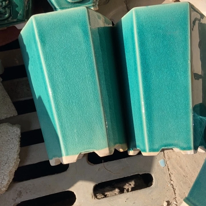 花盆花开花谢了一