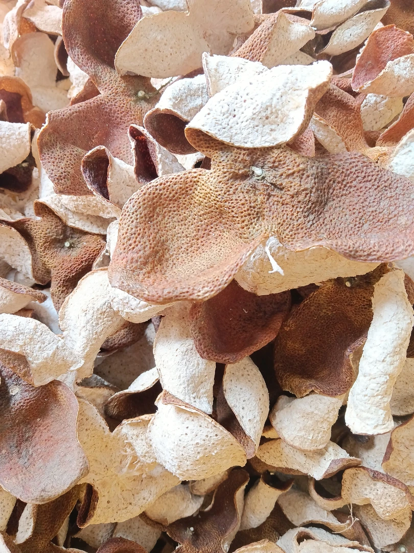 2023年十年左右树龄大红陈皮