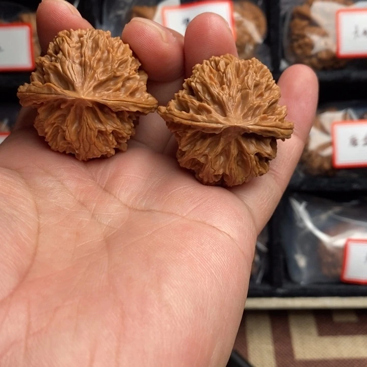 全品苹果园40尺寸