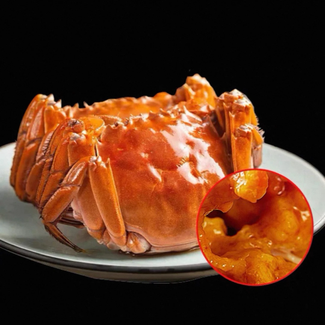 【活蟹】苏州太湖精品大闸蟹母蟹2.5两*8只