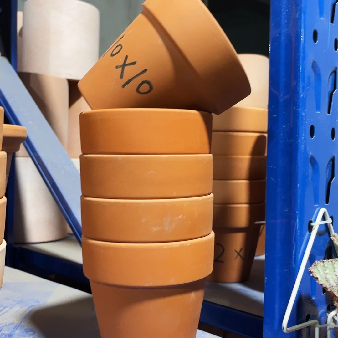 口10×10        发5