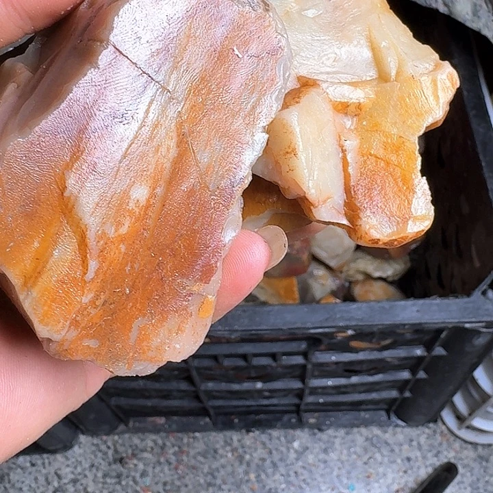 H***丶寿山石老挝石素质