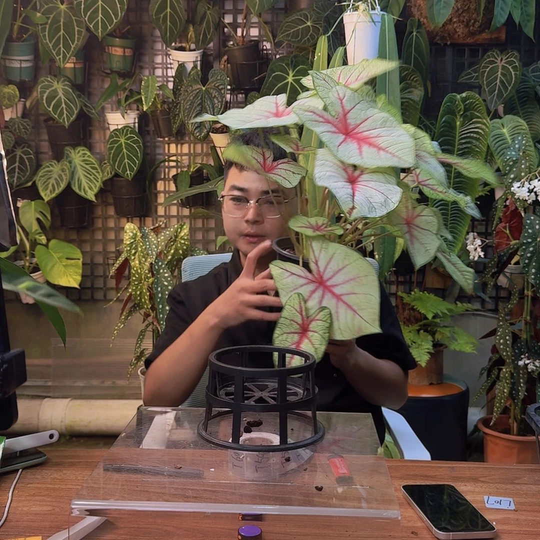 夏***悠完全开放一物一拍T53