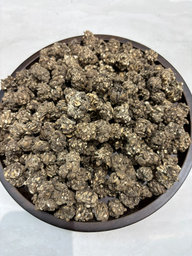 云南正宗野生猫爪草