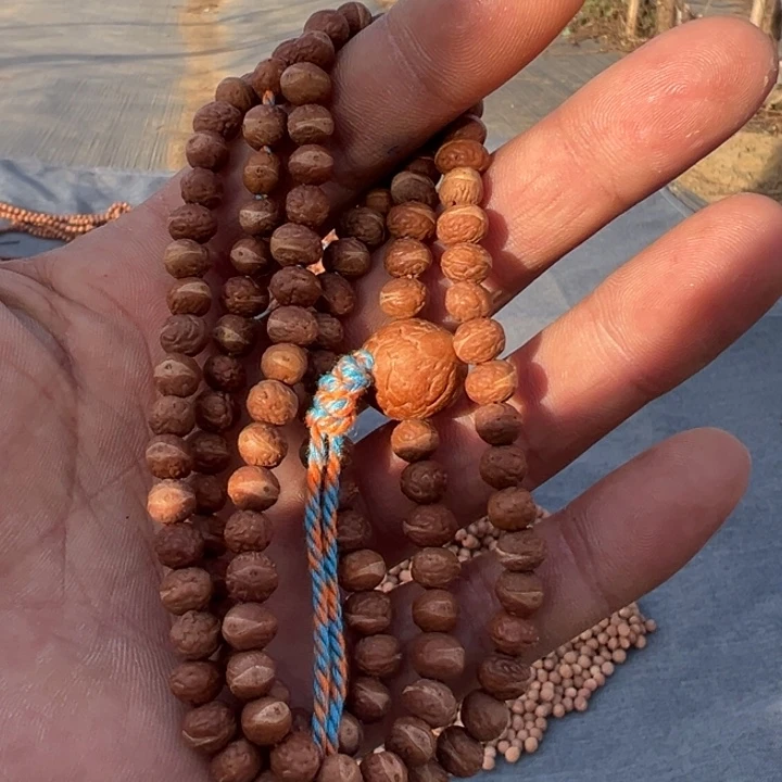 凤眼菩提吊坠文玩酸枣核