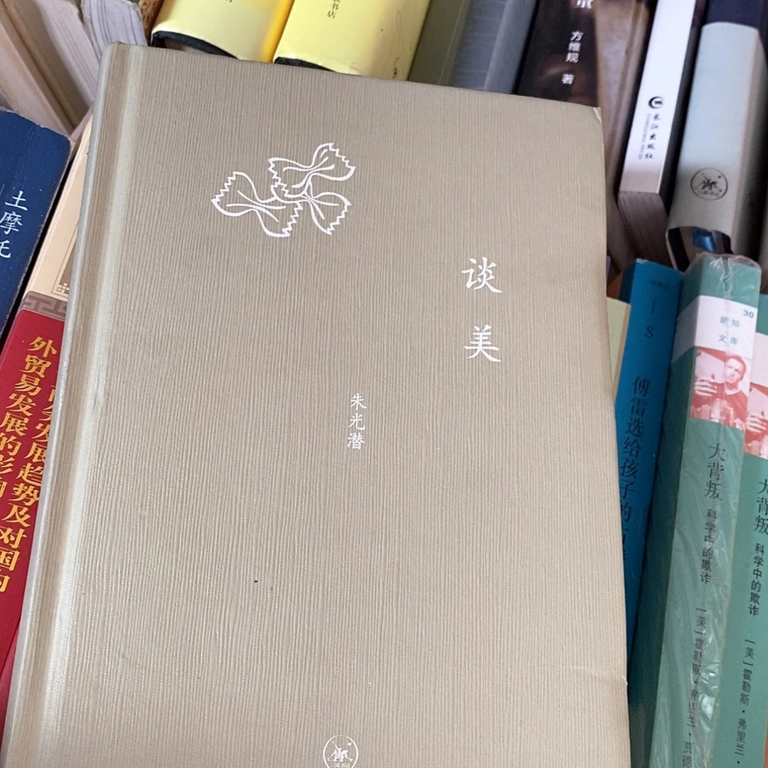 微瑕 谈美朱光潜……