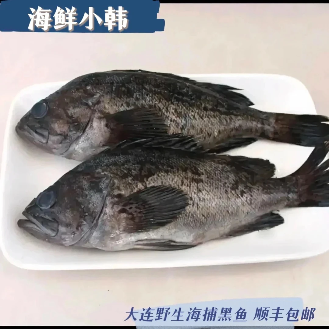 大连野生黑鱼4斤顺丰包邮