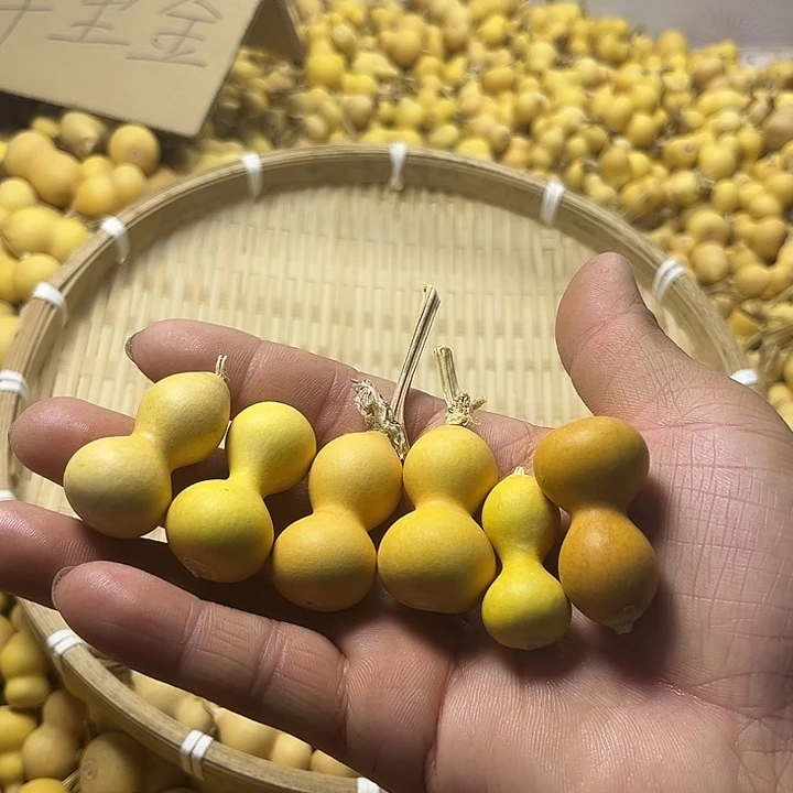 C***學文玩葫芦绕指葫芦