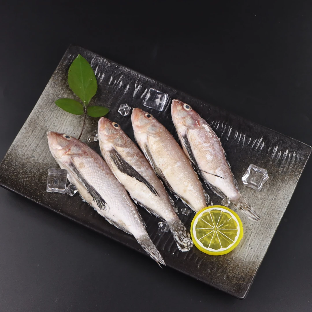 汕头海门野生海鲜 黄蜂鱼 广东省内顺丰冷链包邮