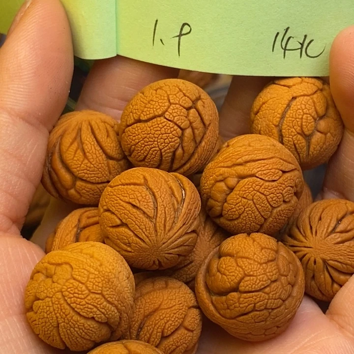 桃核吊坠龙纹桃核19尺寸