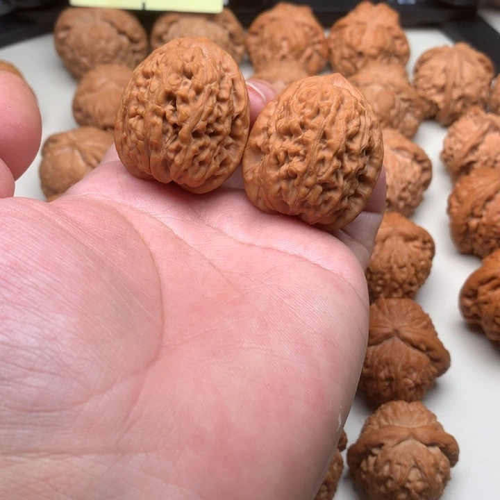 文玩核桃吊坠蚂蚁王