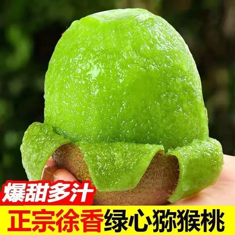 正宗陕西周至徐香猕猴桃新鲜应季水果绿至奇异果香甜多汁催熟食用