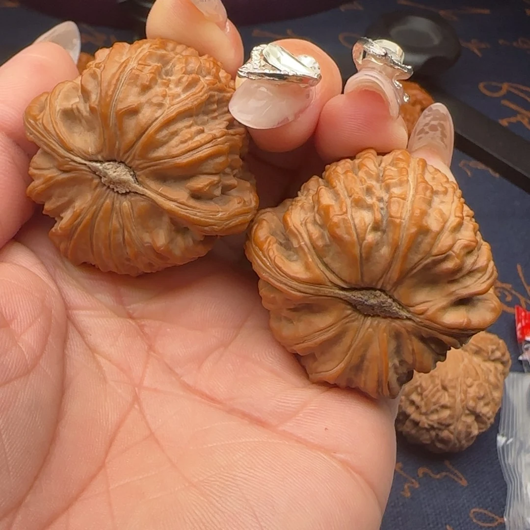 核桃刘*43边度同尺狮子头