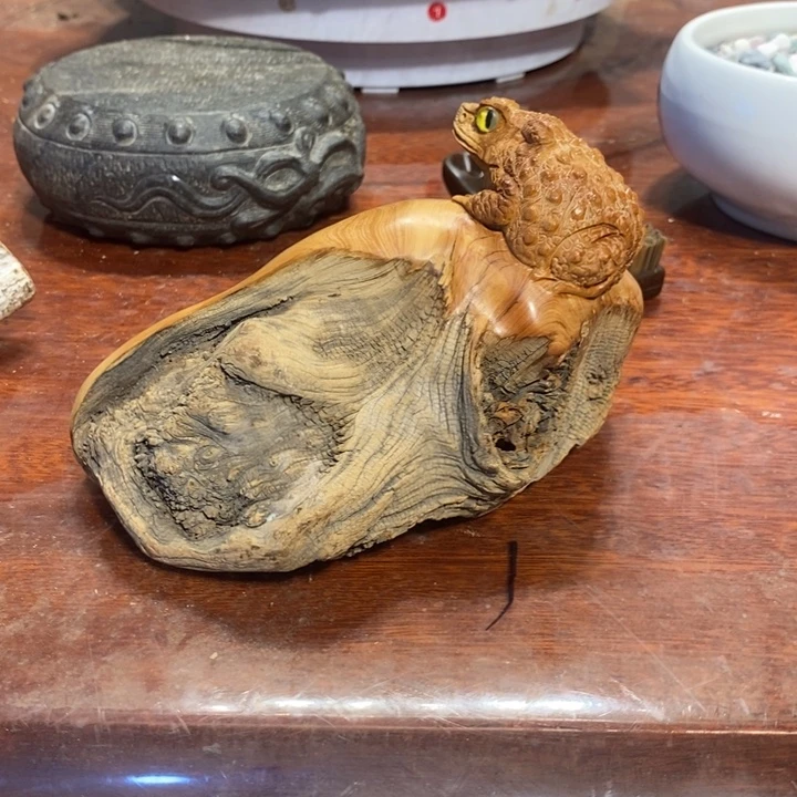 超***想香榧木崖柏等自然景区的景区