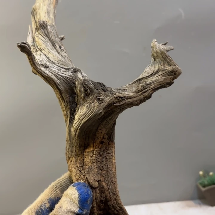 用***6崖柏纹理坨坨把件料