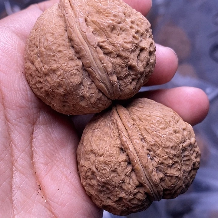 把件文玩核桃   151