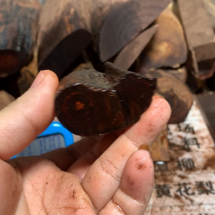 黄花梨/降香黄檀秋****秋